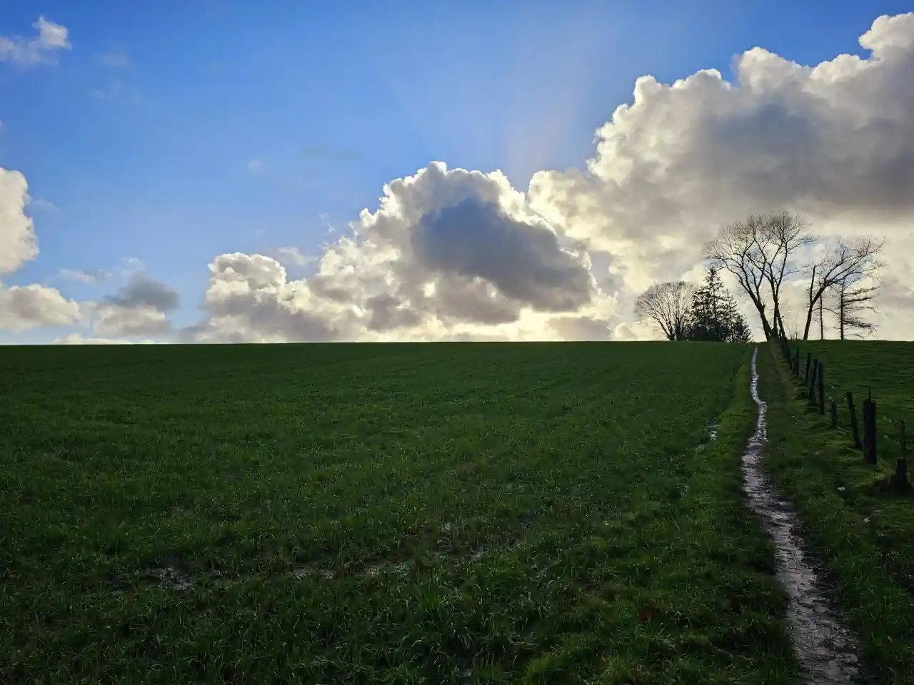 panorama-aan-Kluisbos