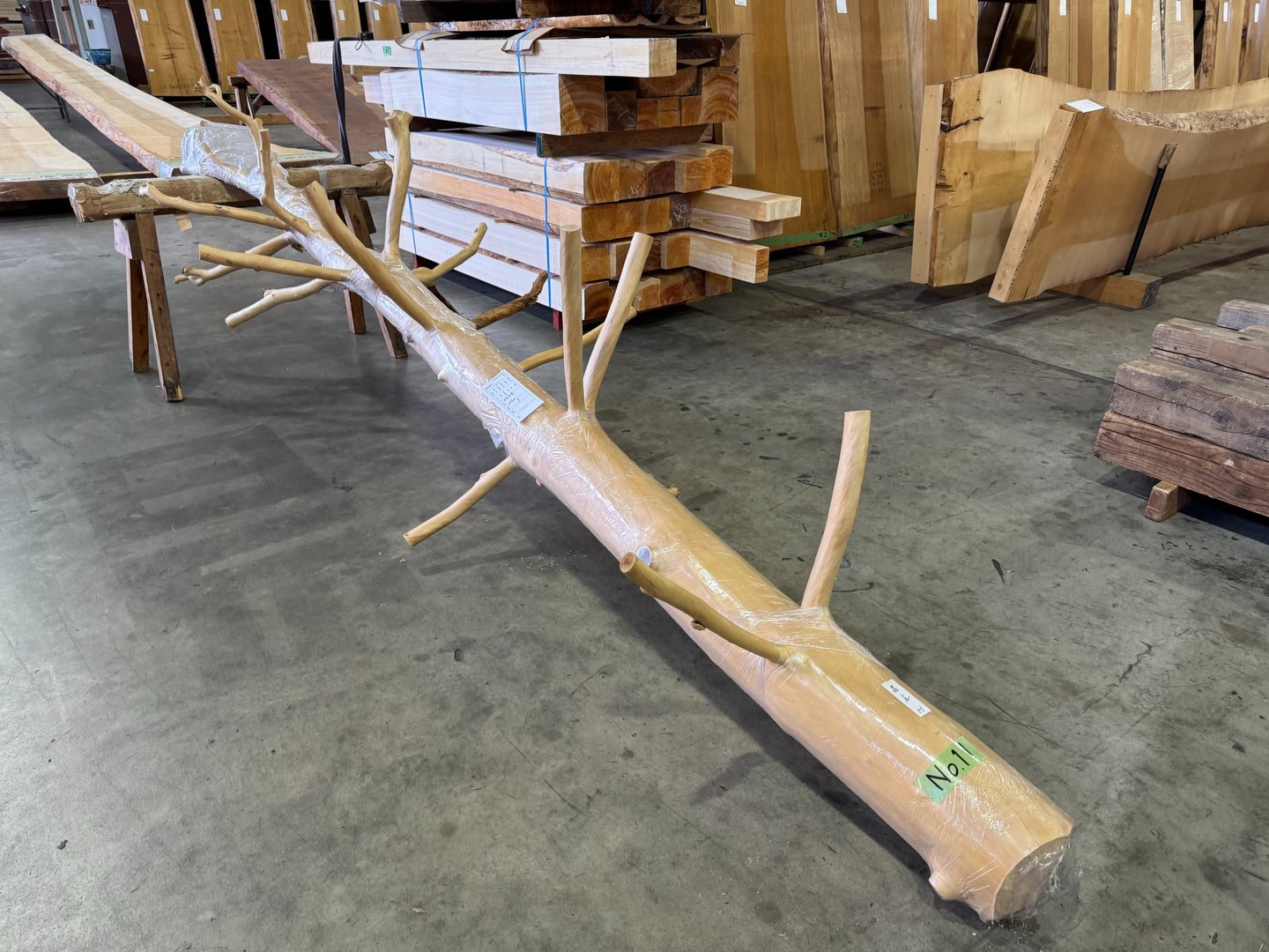 A raw, de-barked log with natural branches for woodworking inside a lumber warehouse.