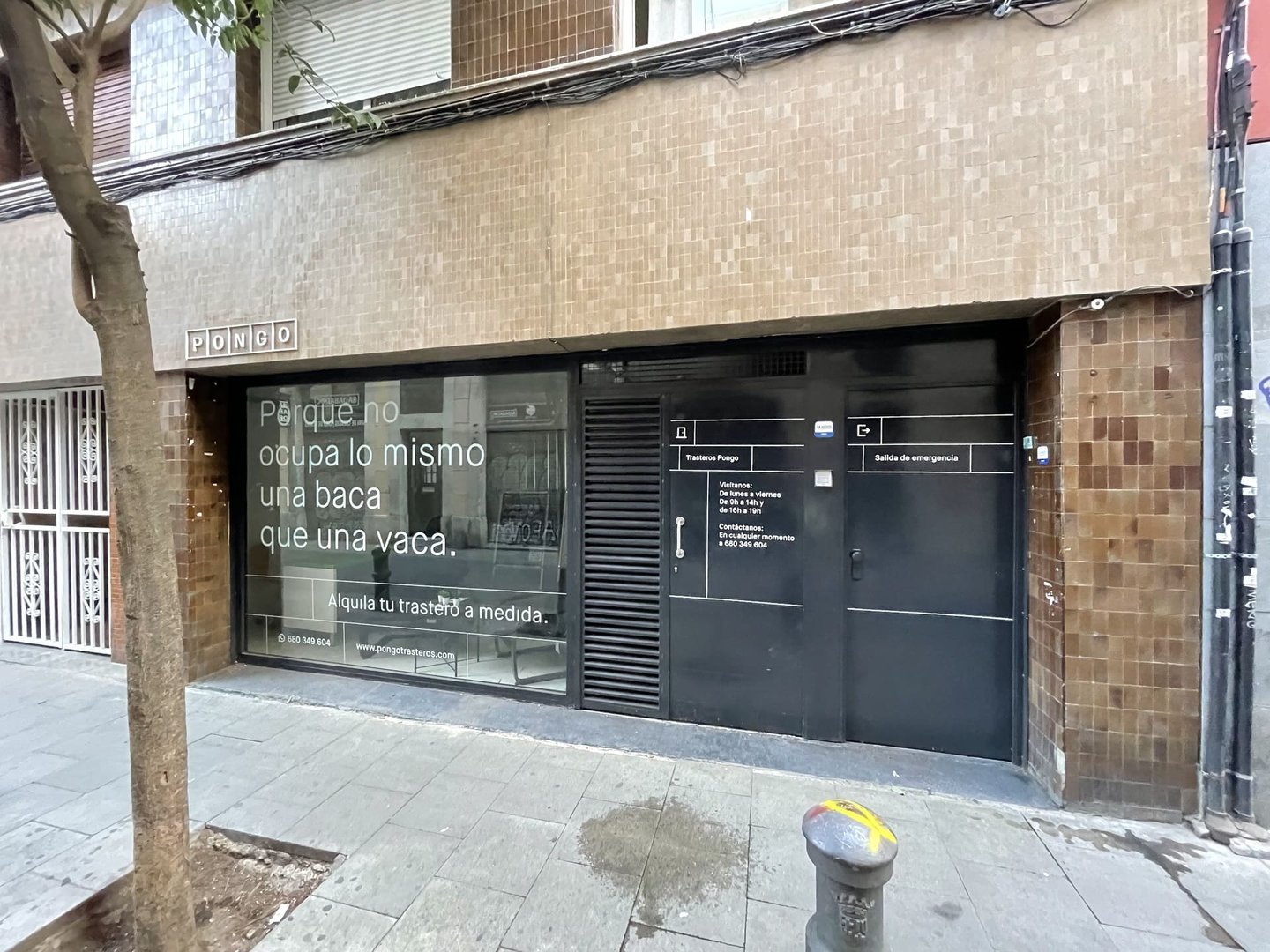 vinilo para cristalera troquelado, lettering, rótulo.