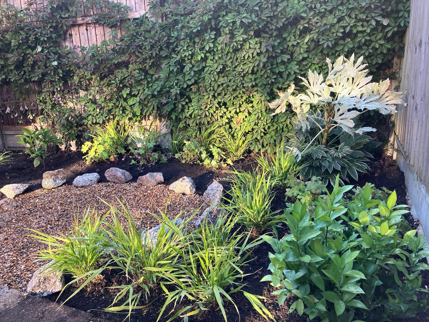 Shade garden planting in London