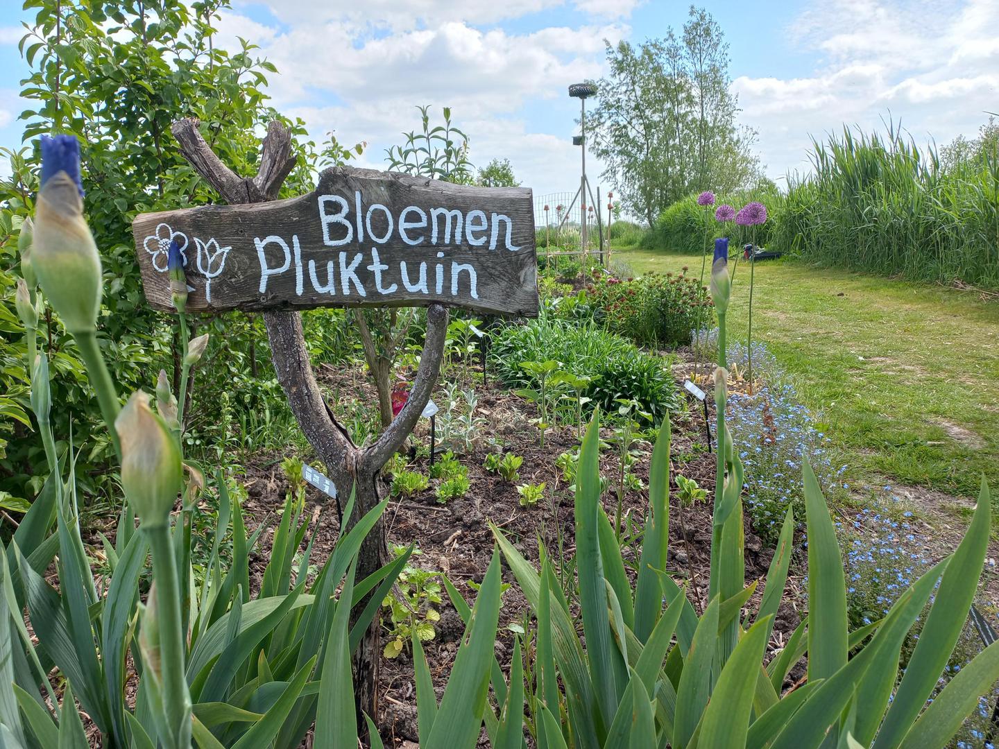 Welkomstbord van hout in de bloementuin van hortus populus