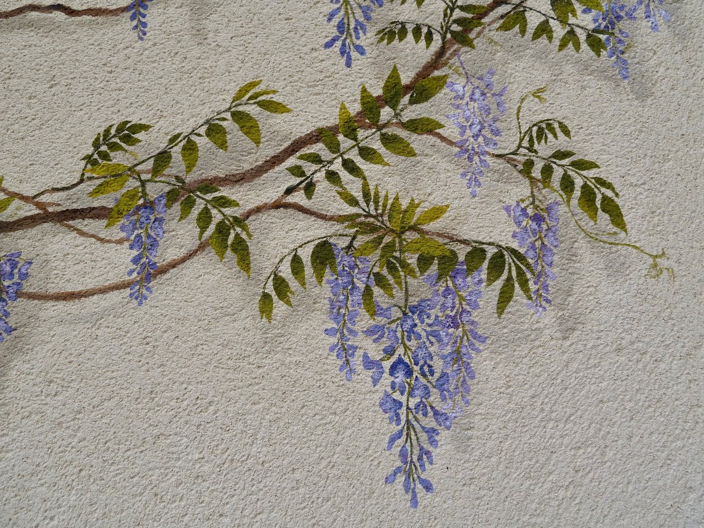Détails d'une fresque peinte en trompe-l'oeil, une glycine décore une façade.