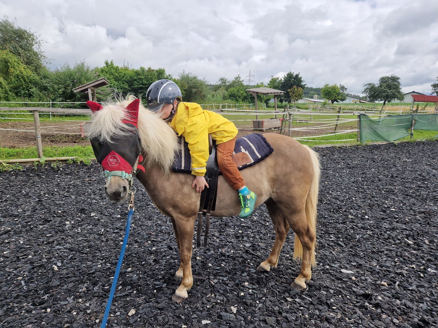 Kleines Kind auf kleinem Pony
