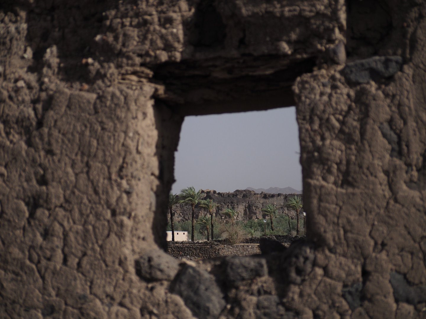 an old cracking stone wall with a small window overlooking a field of dying palm trees 