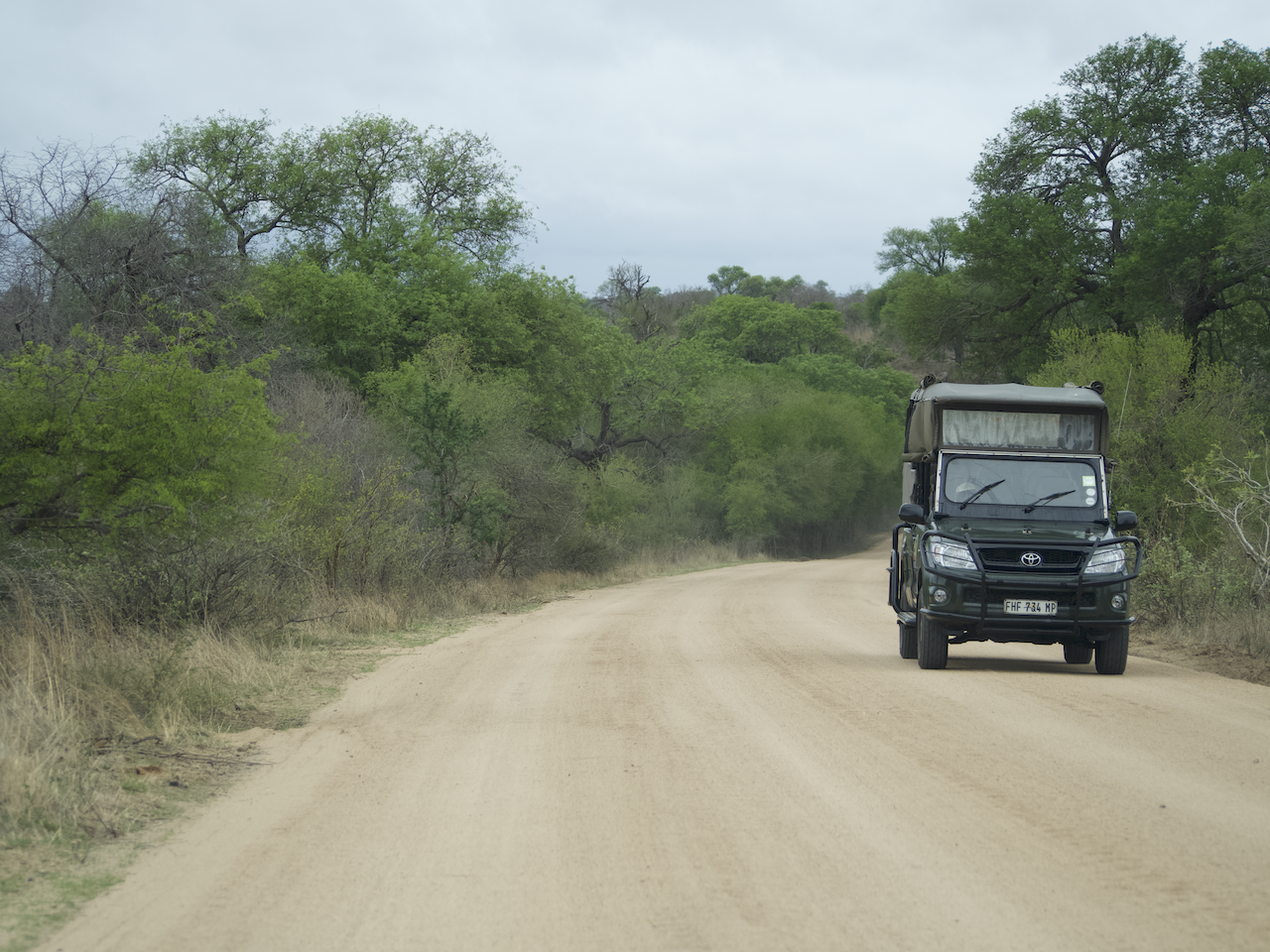 Kruger Nationalpark; Safari Südafrika