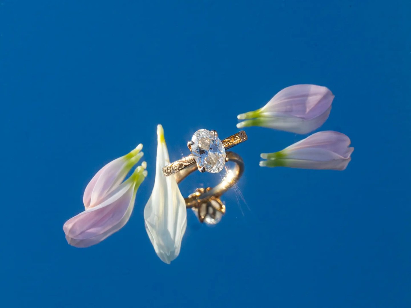 Gold rings styled with pastel flower petals on a blue background