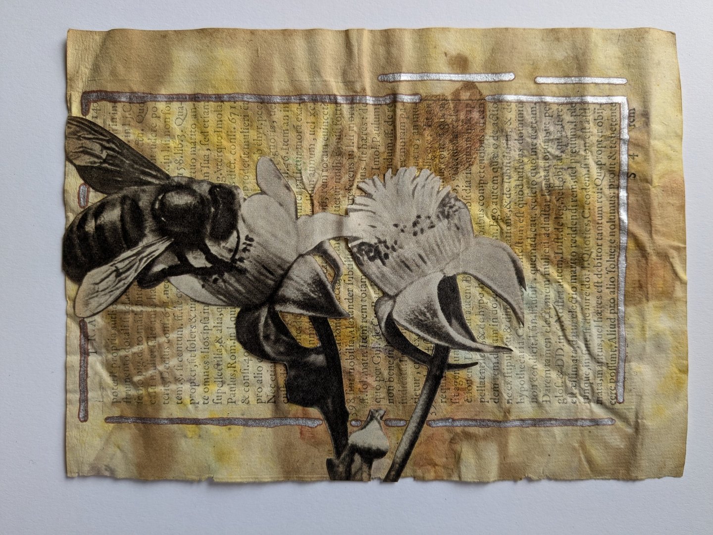 vintage collection - bee