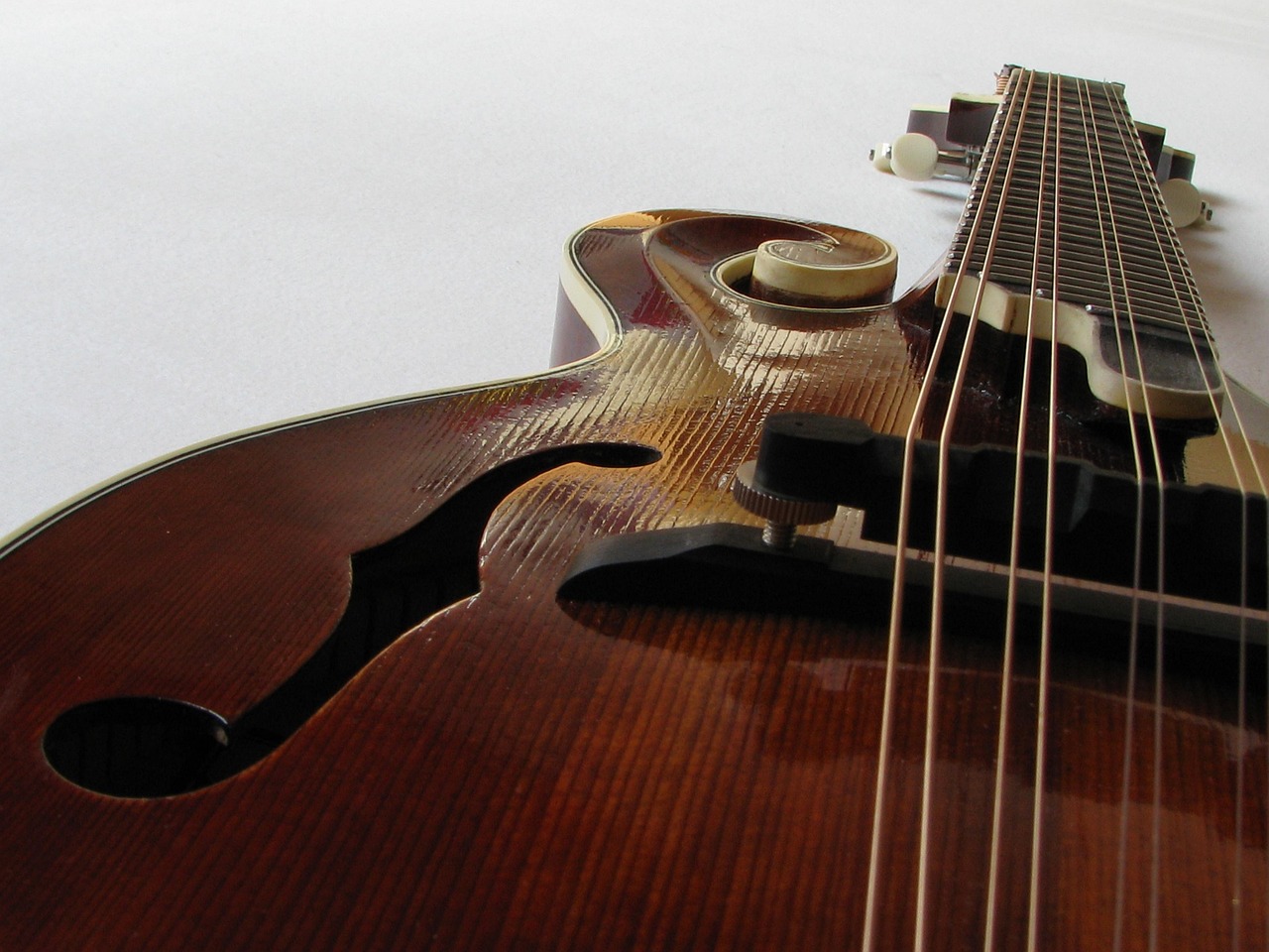 close up of a mandolin