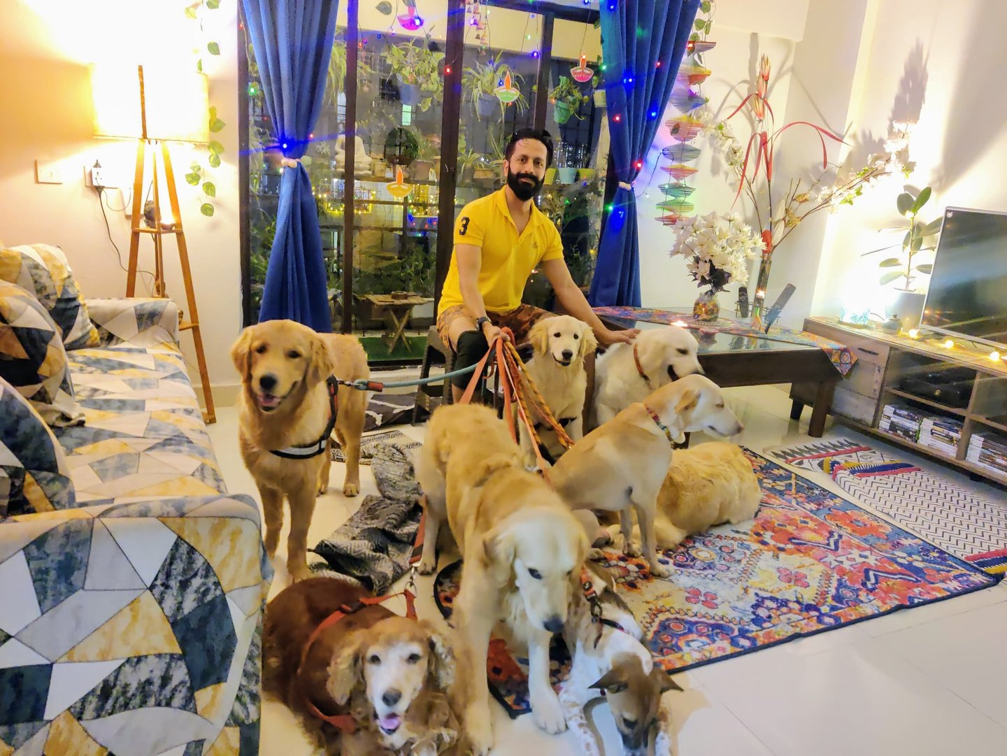 Cagefree Dog Homestay