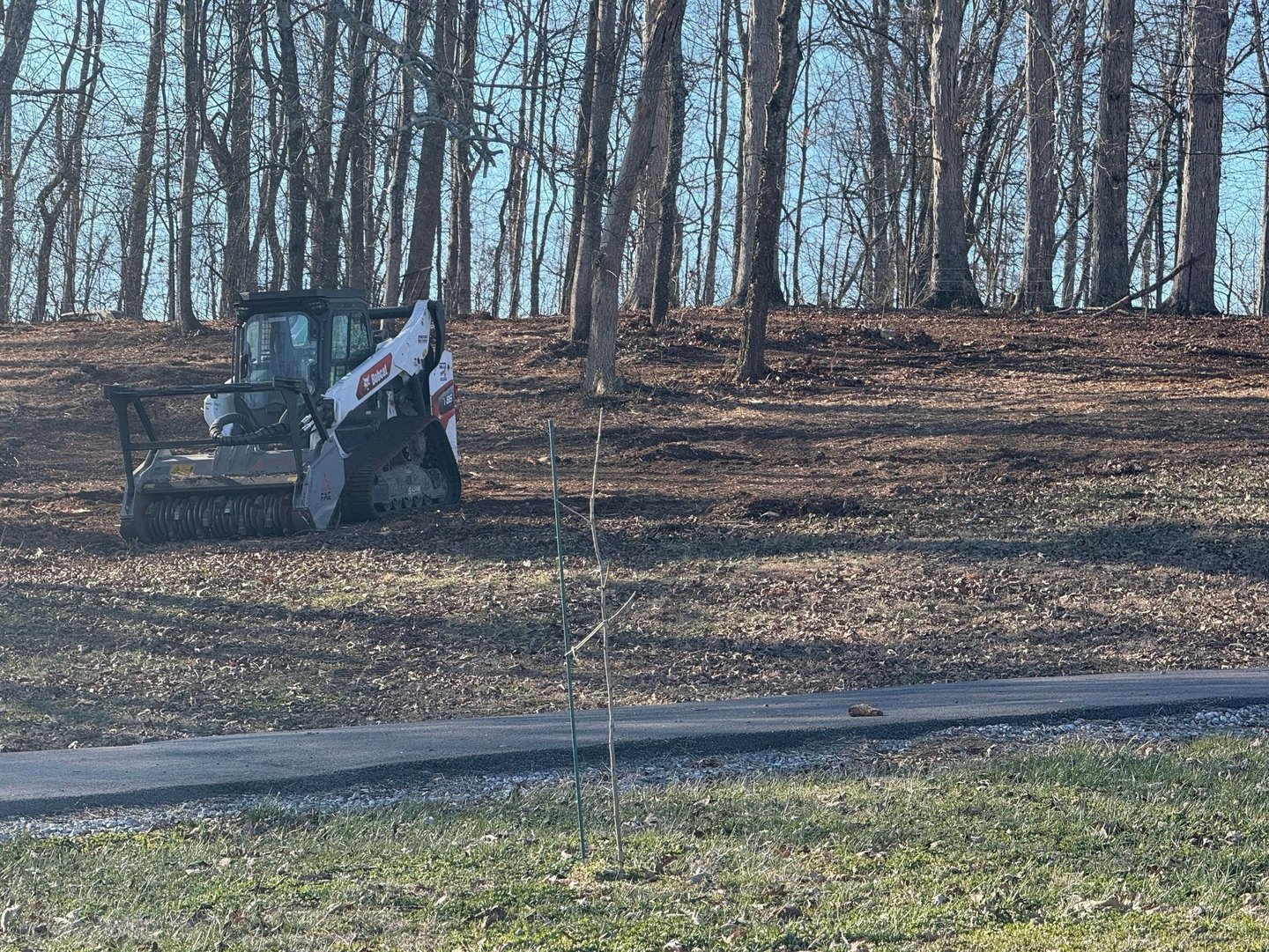 bobcat skid steer sitting idle in wooded area