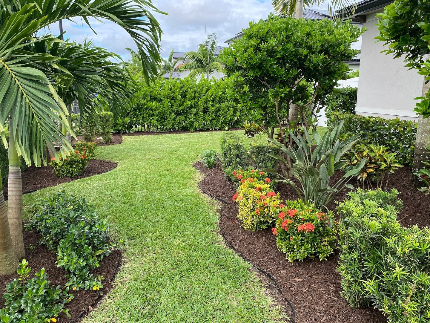 Modern backyard landscaping with tropical plants, green grass lawn, and dark mulch garden beds.