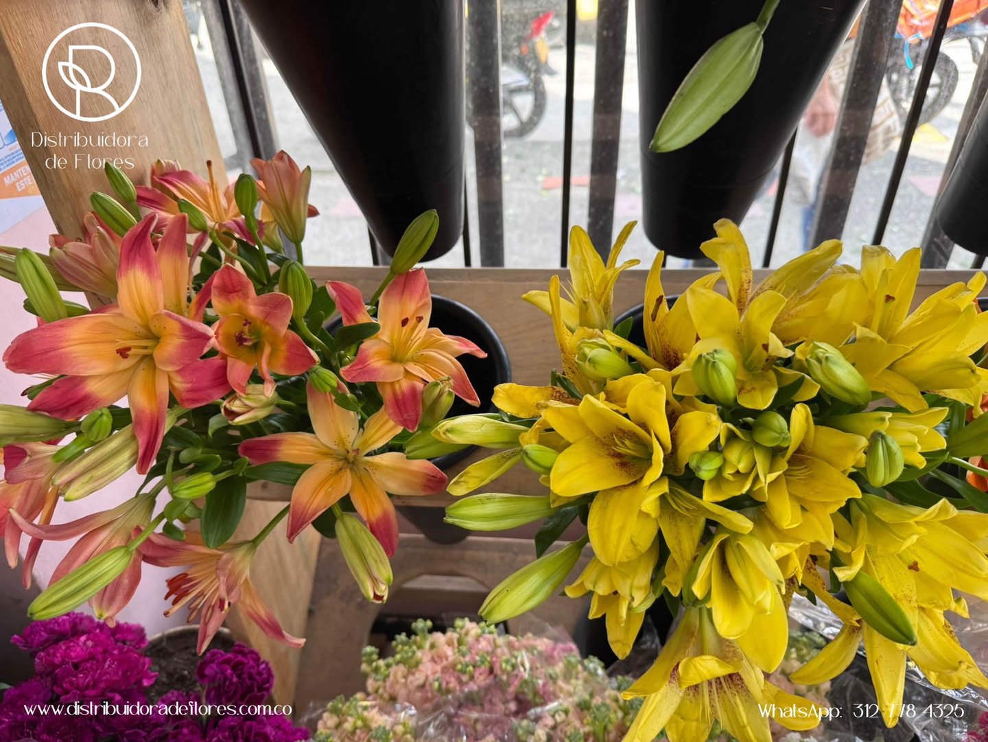 distribuidora de flores pereira