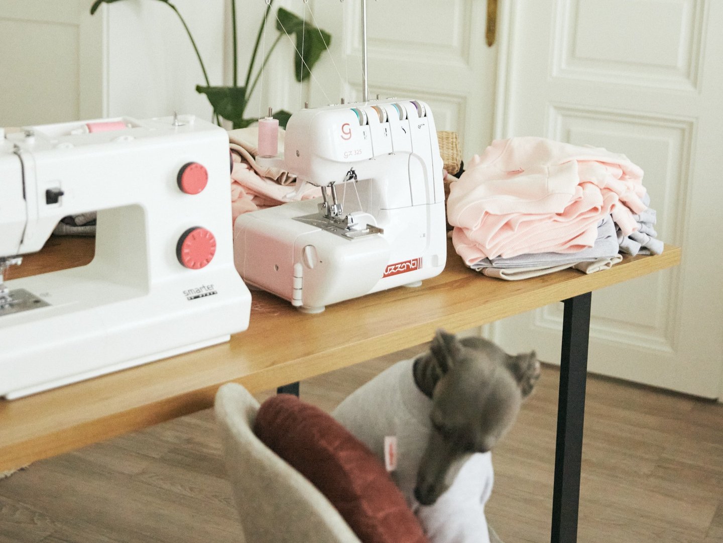 a cat sitting on a table with a sewing machine