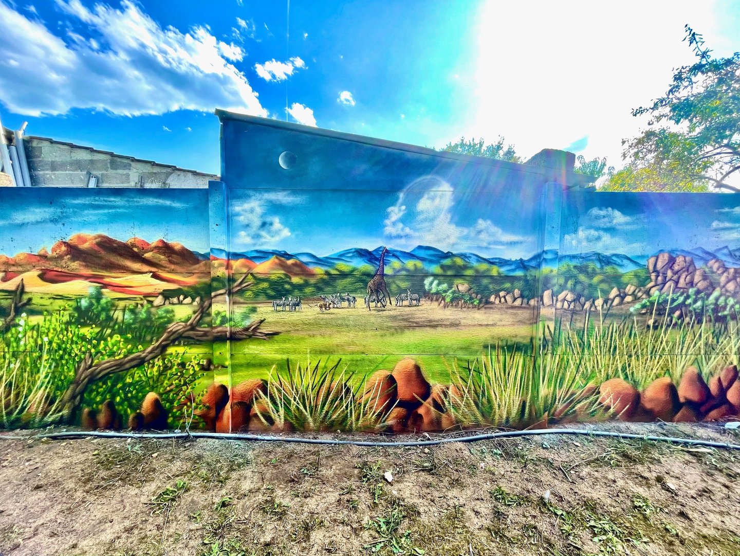 un graffiti représentant la savane namibienne