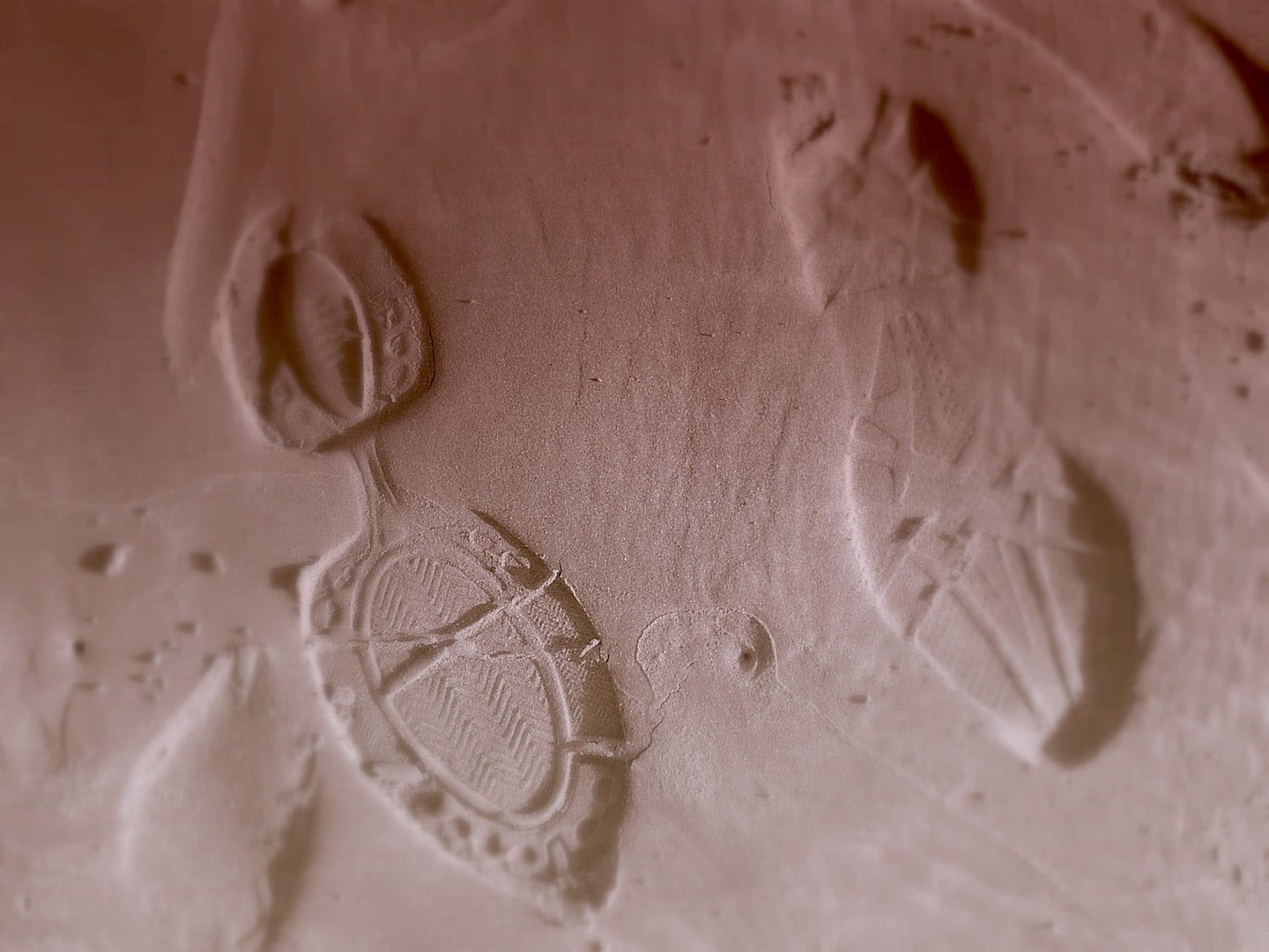 Footprints in the sand