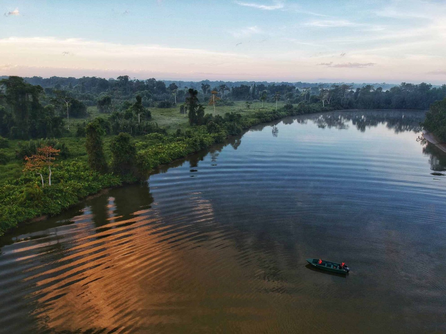 Kinabatangan River, Sabah Borneo