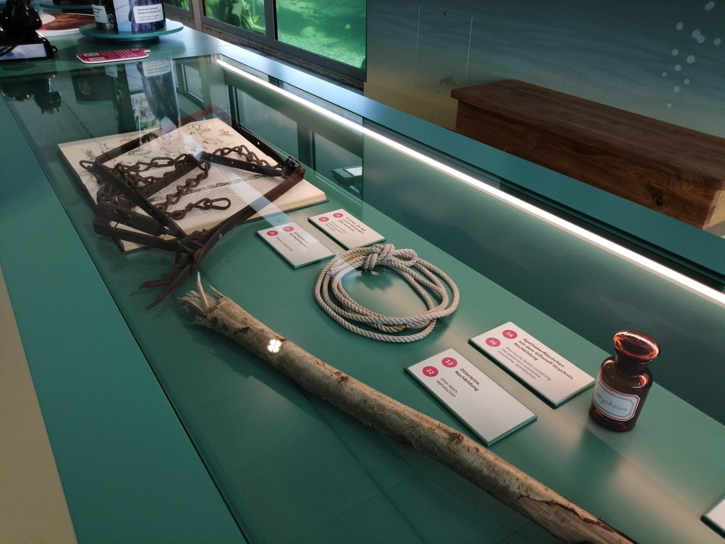 Vitrine mit historischen Objekten.