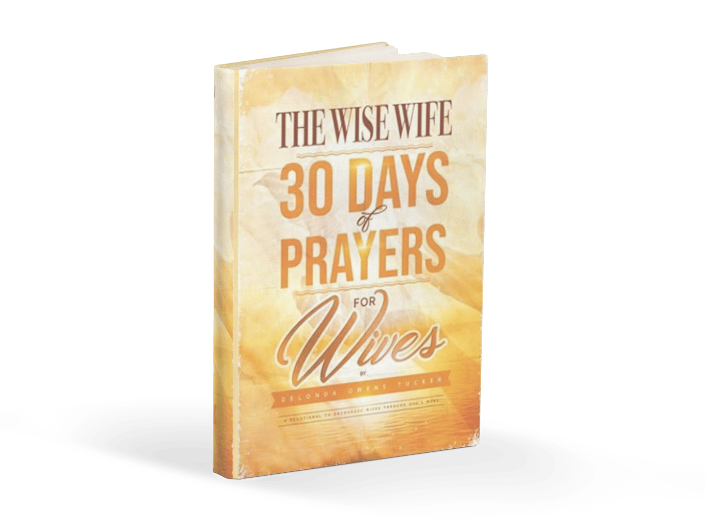 The Wise Wife 30 Days of Prayers for Wives by DeLonda Owens-Tucker