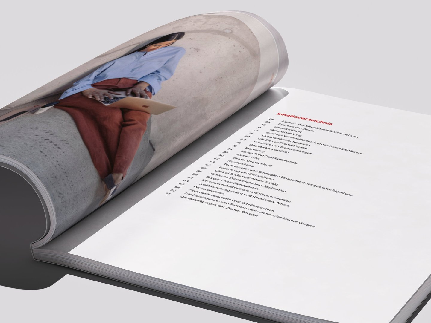 Detailansicht einer des Inhaltsverzeichnisses im Geschäftsbericht