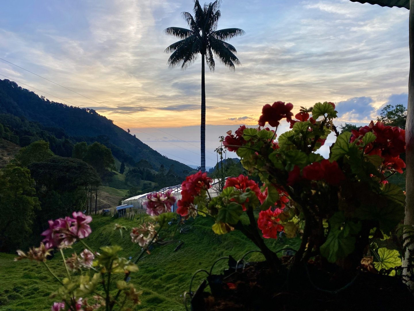 Evaluación del potencial turístico en finca rural