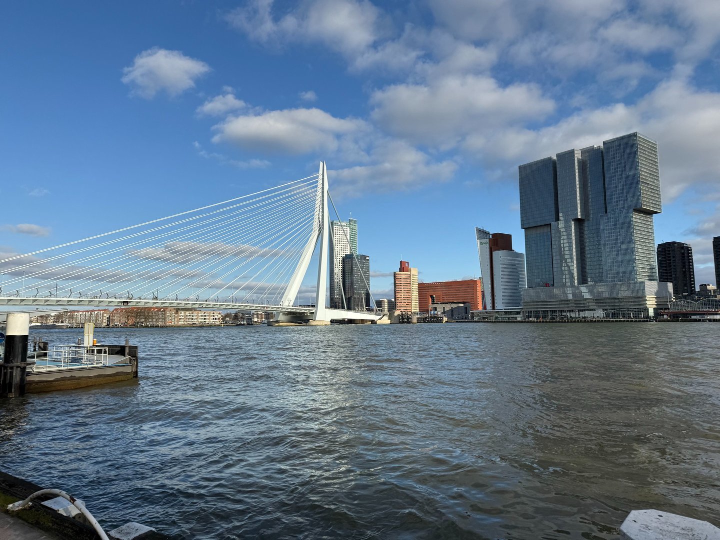 Photo of the Erasmusbrug and the Rotterdam