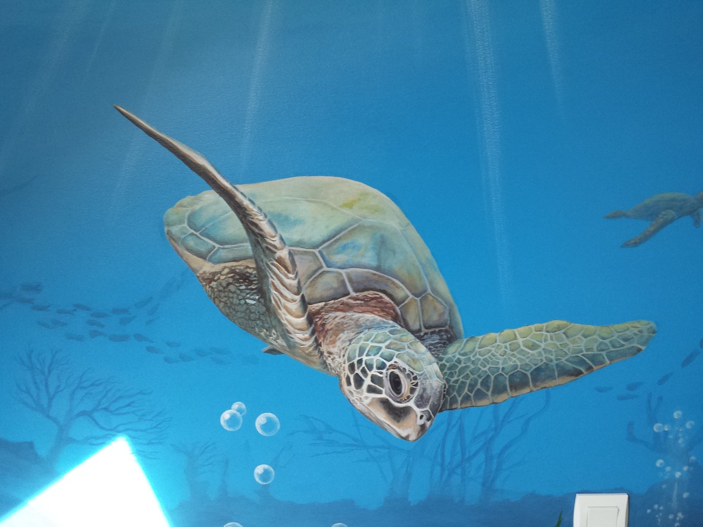 Fresque murale: une tortue de mer nageant, peinte sur un mur de chambre d'enfant.
