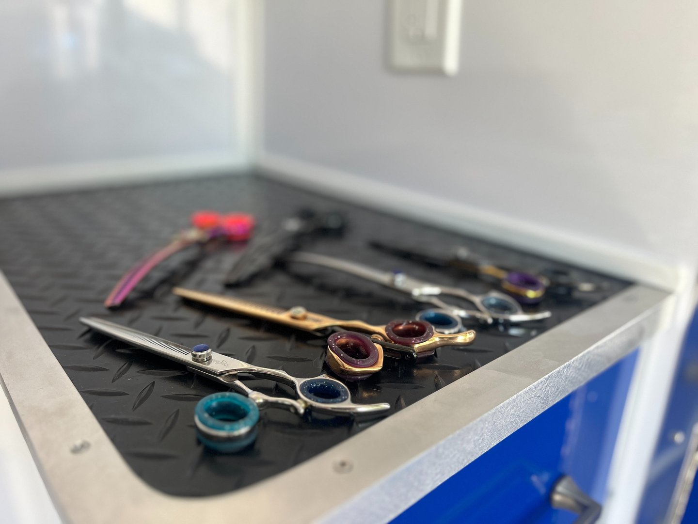 Professional dog grooming shears and scissors neatly arranged on table for precision coat trimming