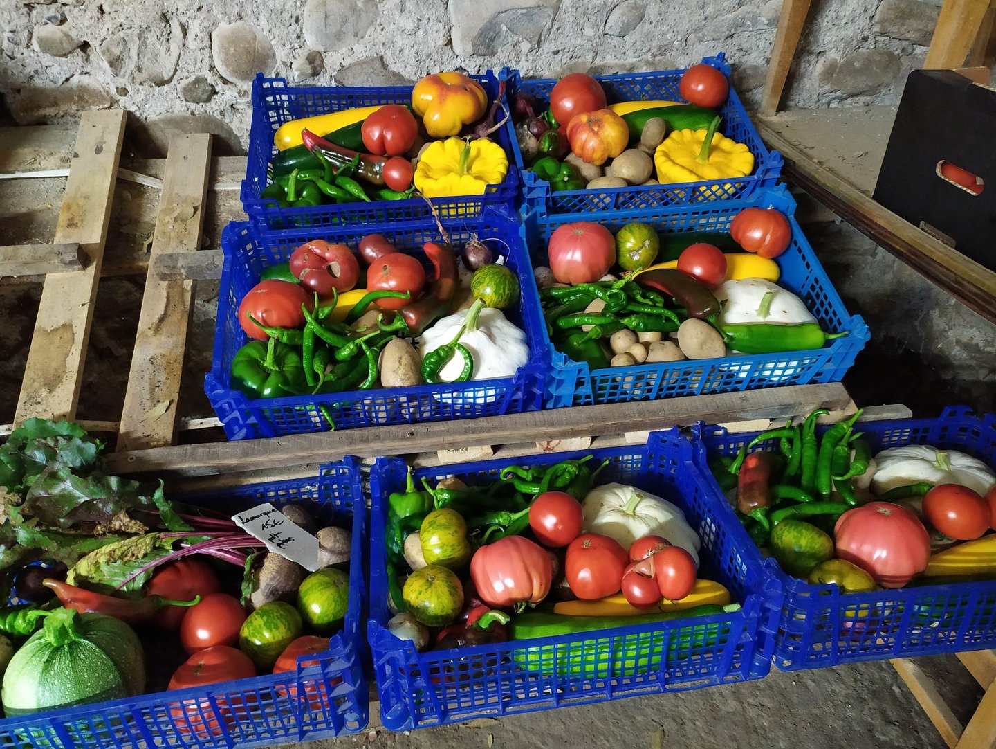 Paniers de légumes bio