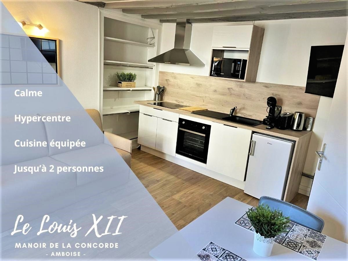 studio à Amboise en Indre-et-Loire