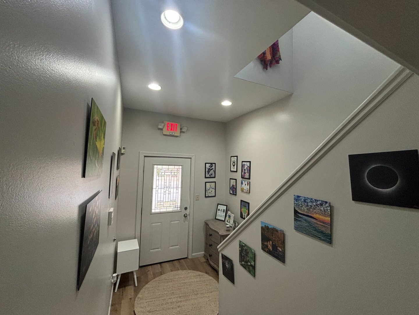 Artist Lauren Connelly presents Wild Developments Studio