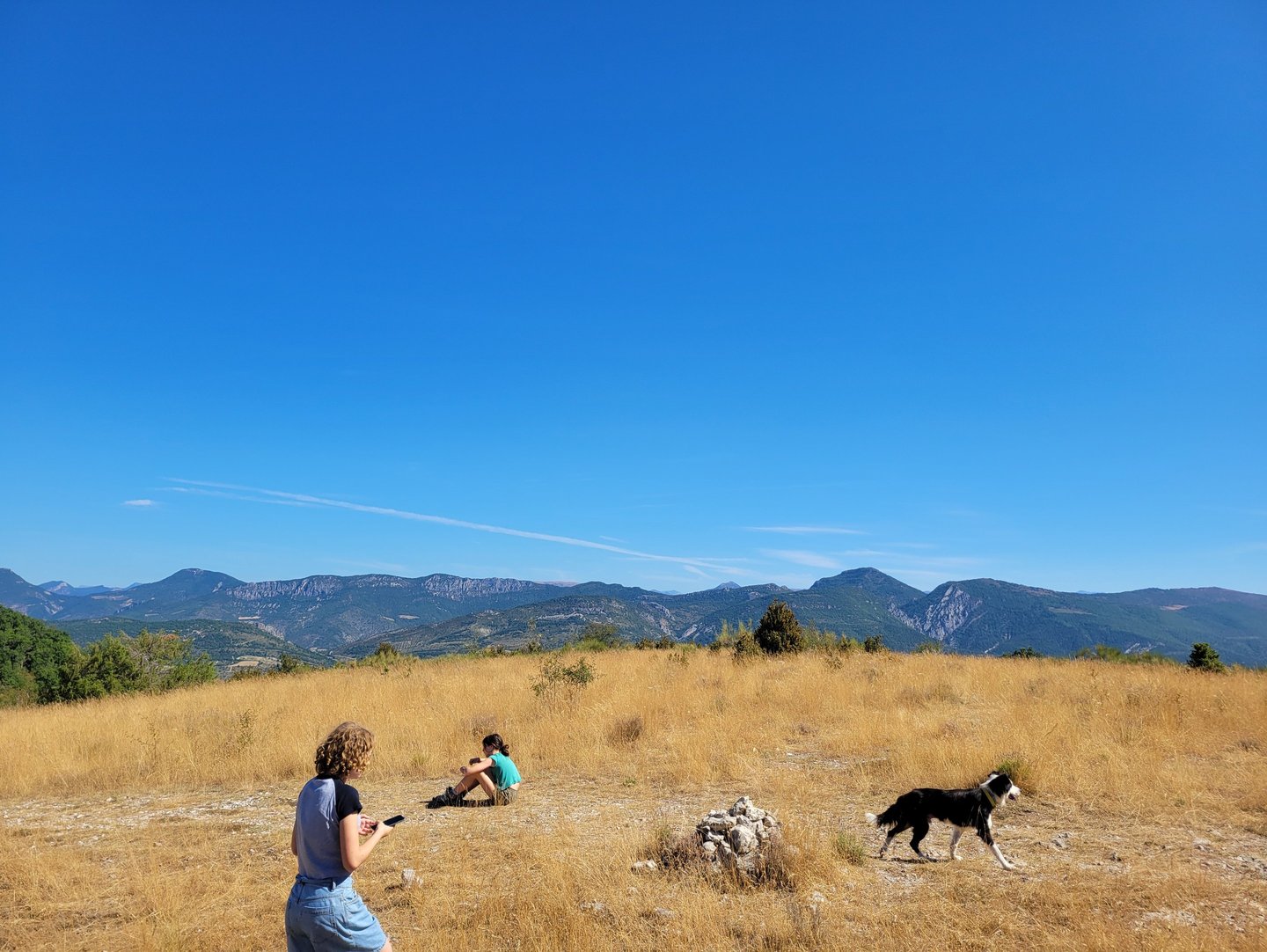 a woman walking through a field with a dog