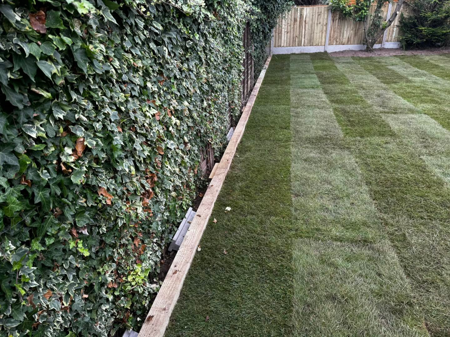 Perfectly level lawn installation in Worcester