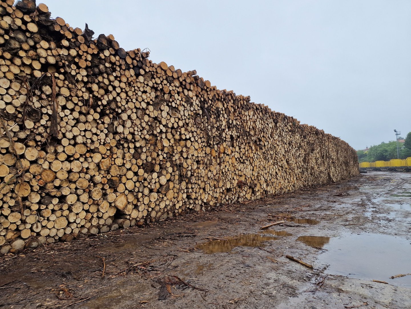 Organización y Distribución de la madera en el parque acorde a los parámetros del cliente.