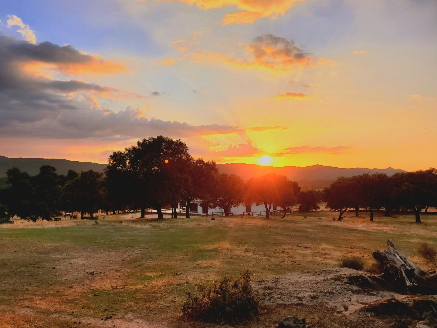 Coucher de soleil chez Bel'âne