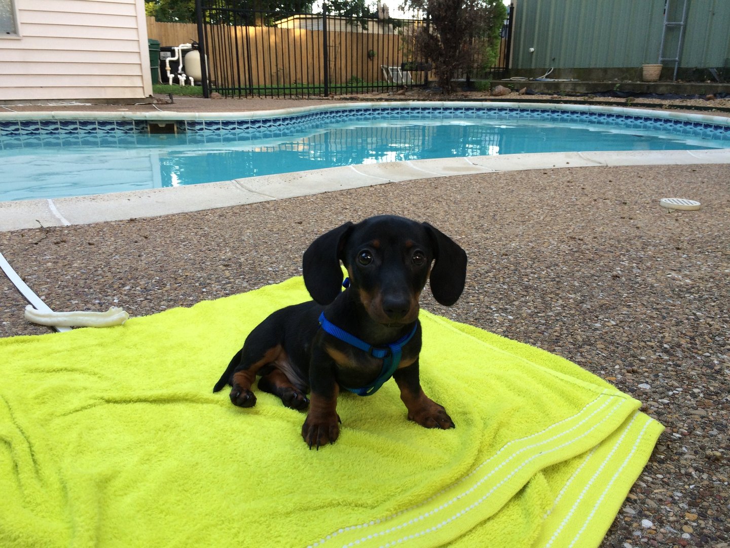 K-SCOOPS.com | Discovering the Scoop Life