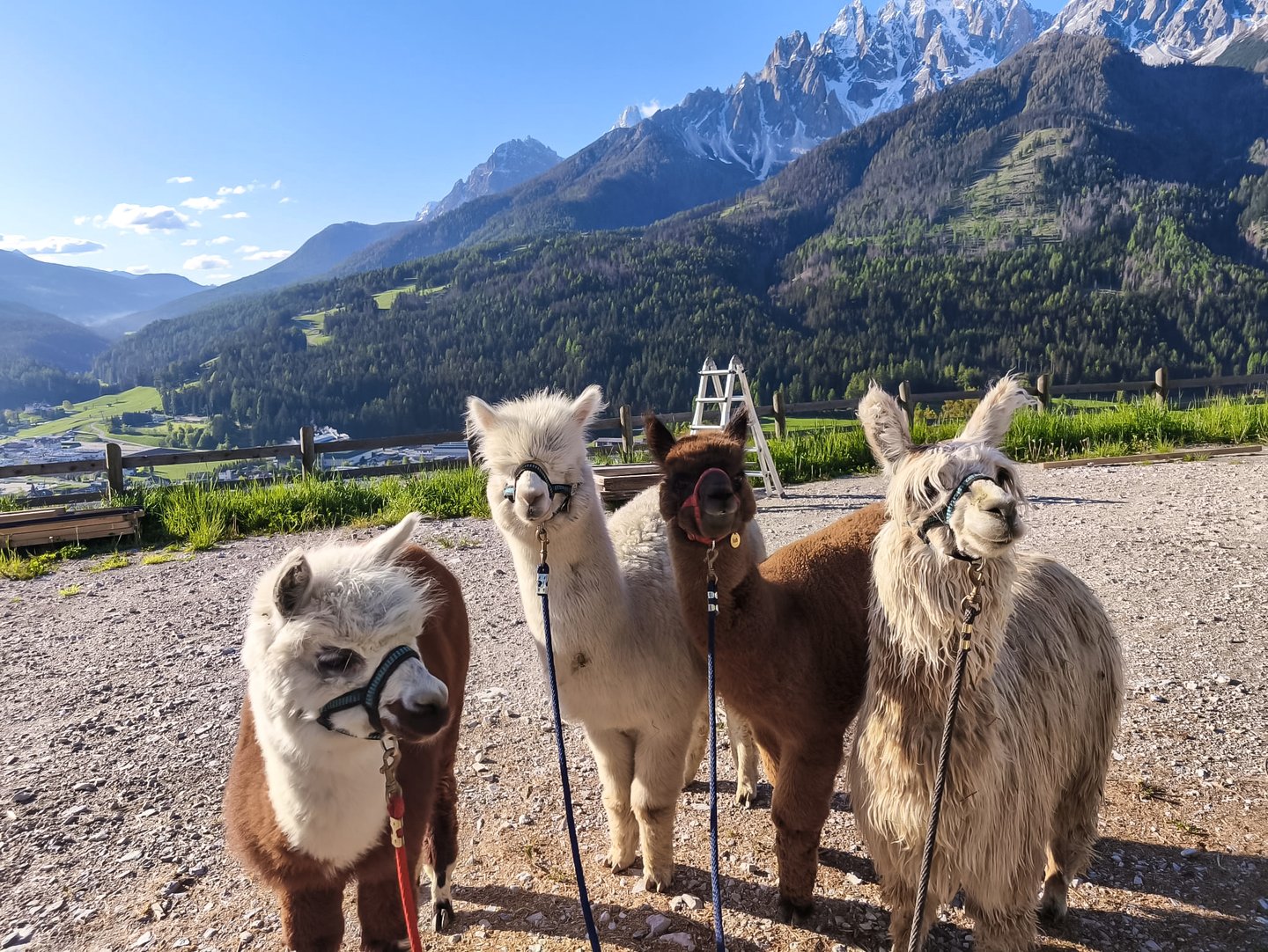 Esperienze Terapeutiche - Alto Adige