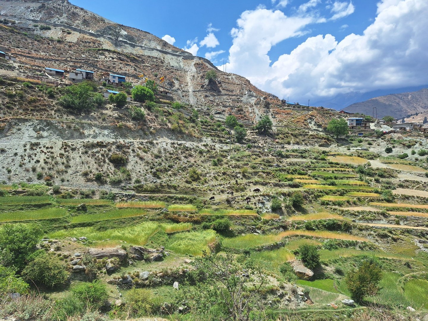 nepal trekking landscape
