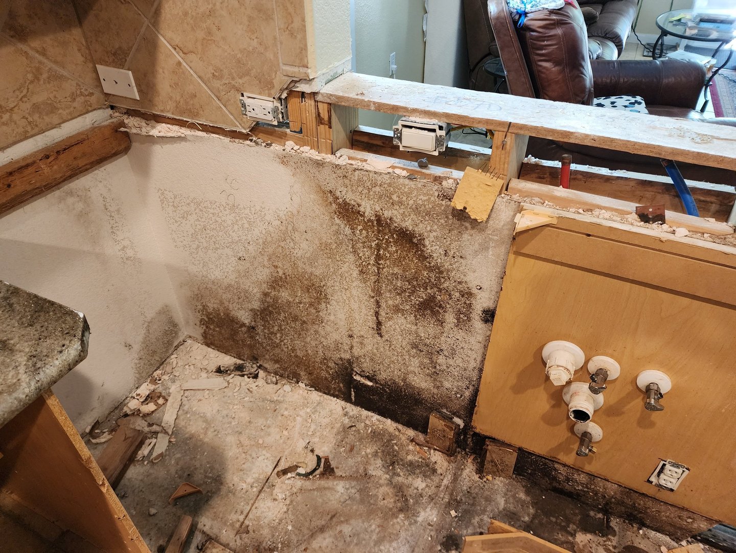 Don't wait for water damage to produce mold
