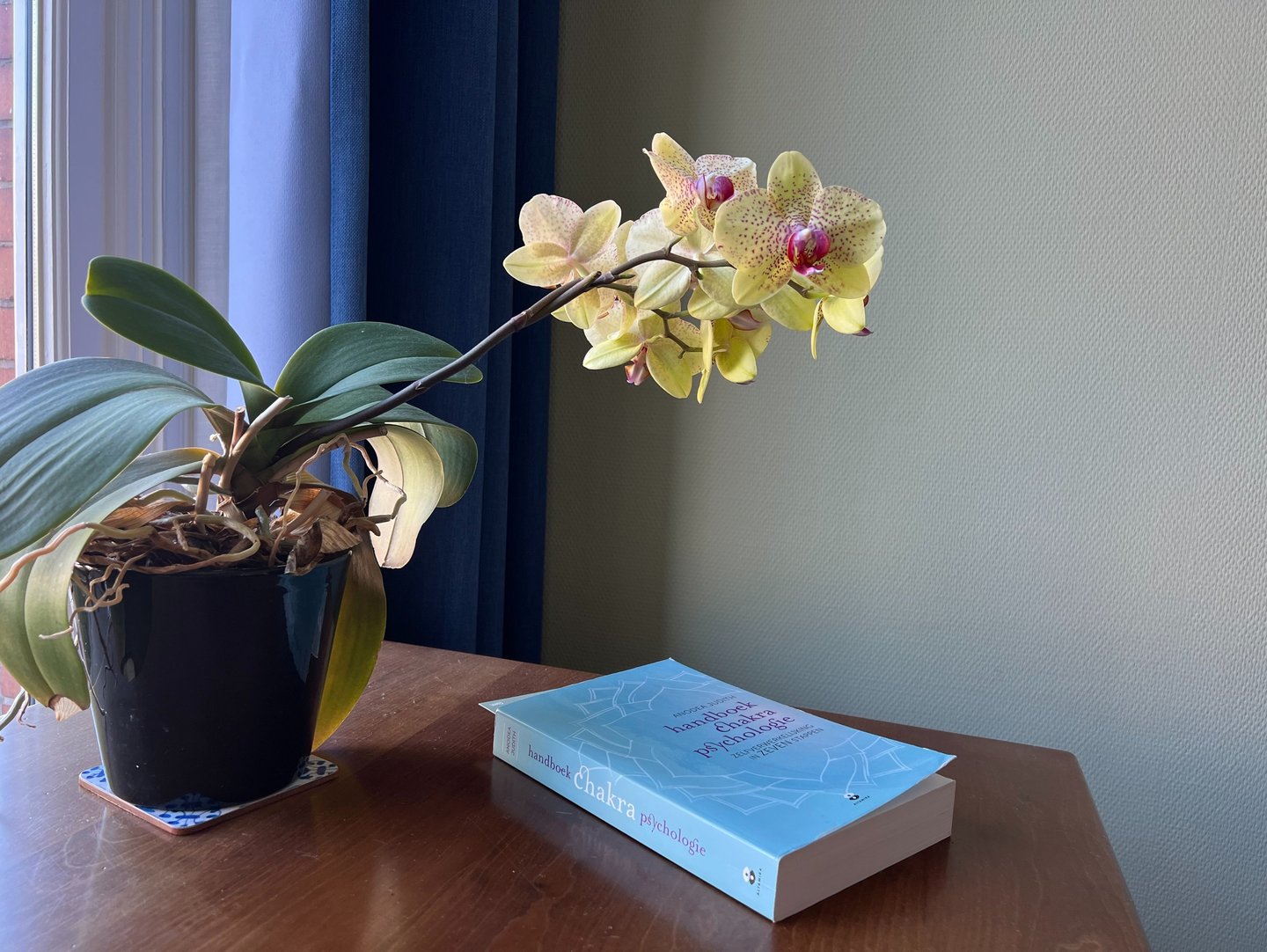 Part of a desk in a psychotherapy practice room with on it a book and a flower