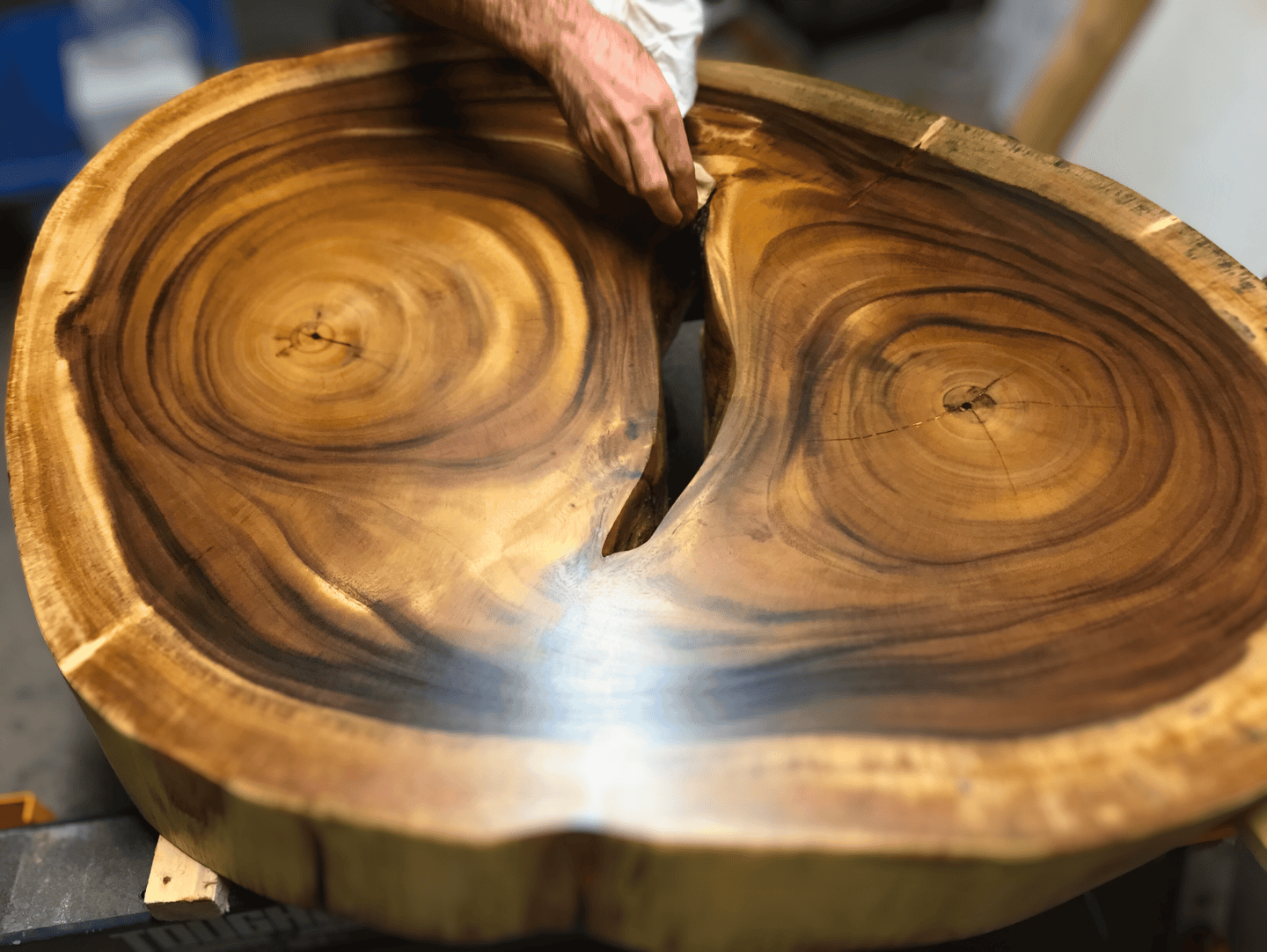 table basse luxieuse en bois exotique de Suar d'Indonésie