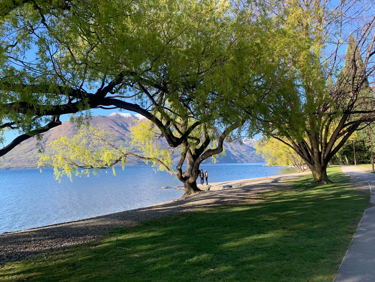 Queenstown Lake Scenic View