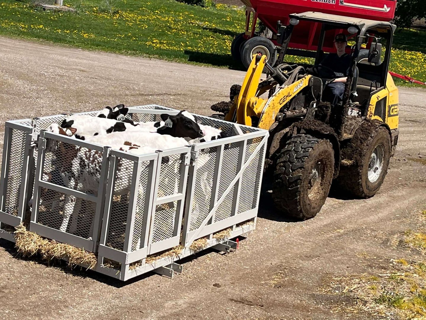 custom steel fabricated calve mover