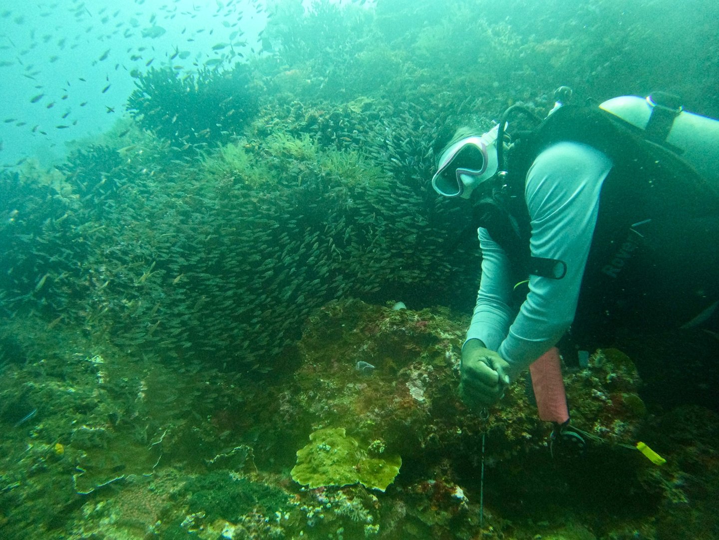 Raja Ampat Guided Diving