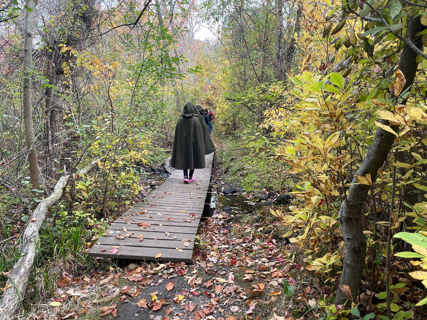 A person wearing a hooded green cloak walks along a wooden boardwalk trail during peak autumn foliage.