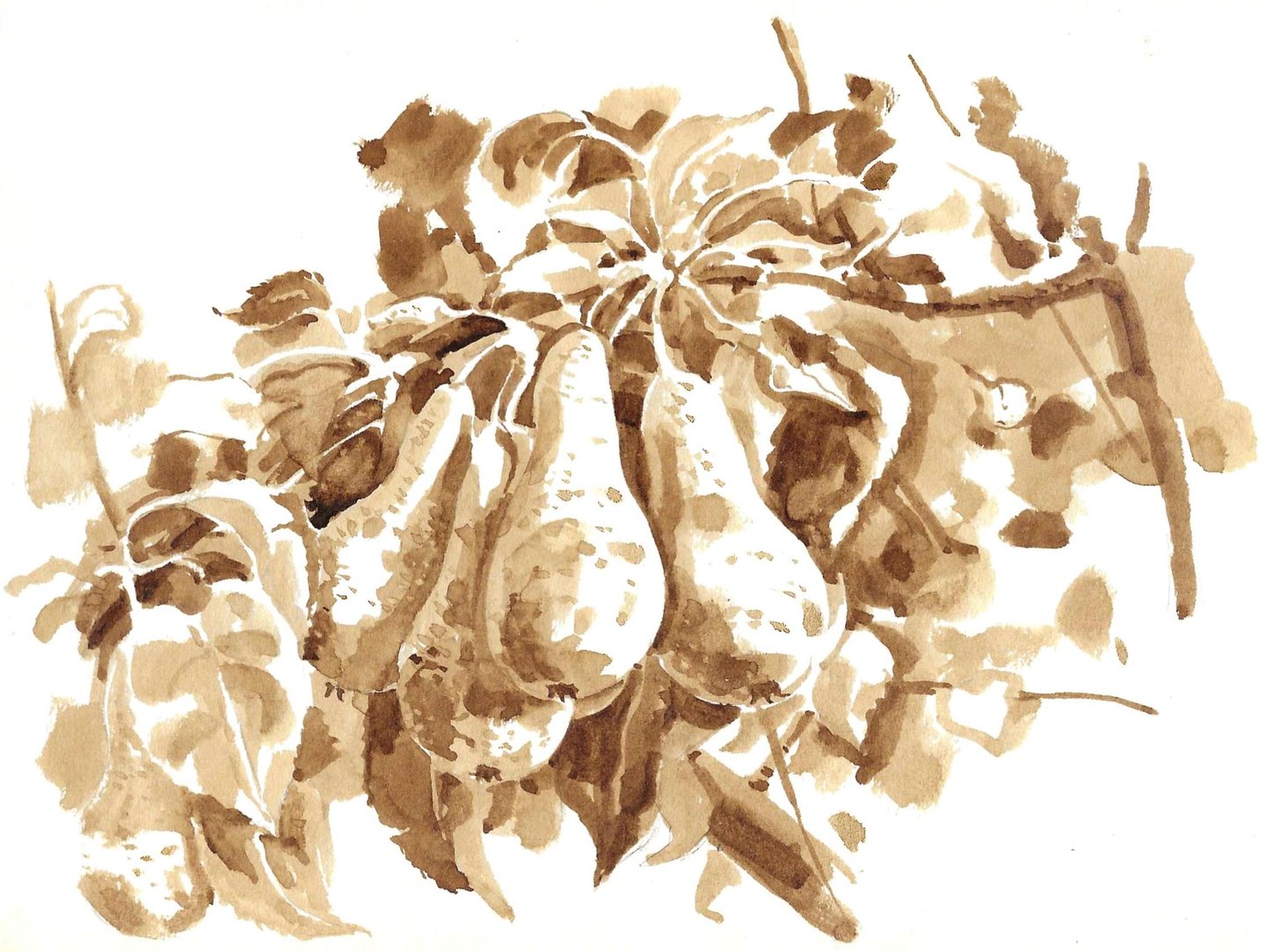 Dessin de paysage au lavis de brou de noix représentant un poirier. 