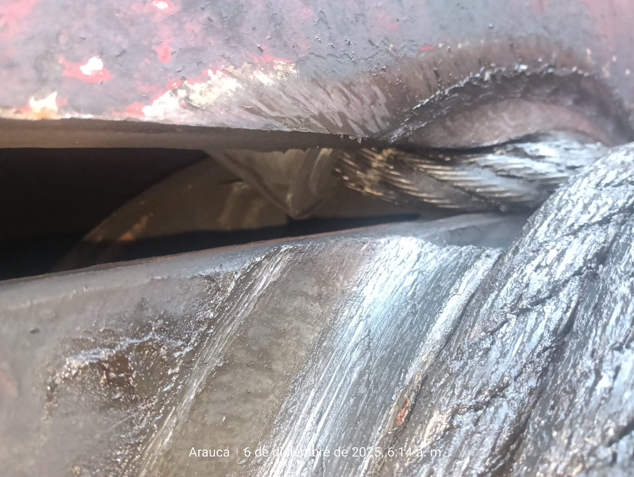 Férula desplazada en checklist