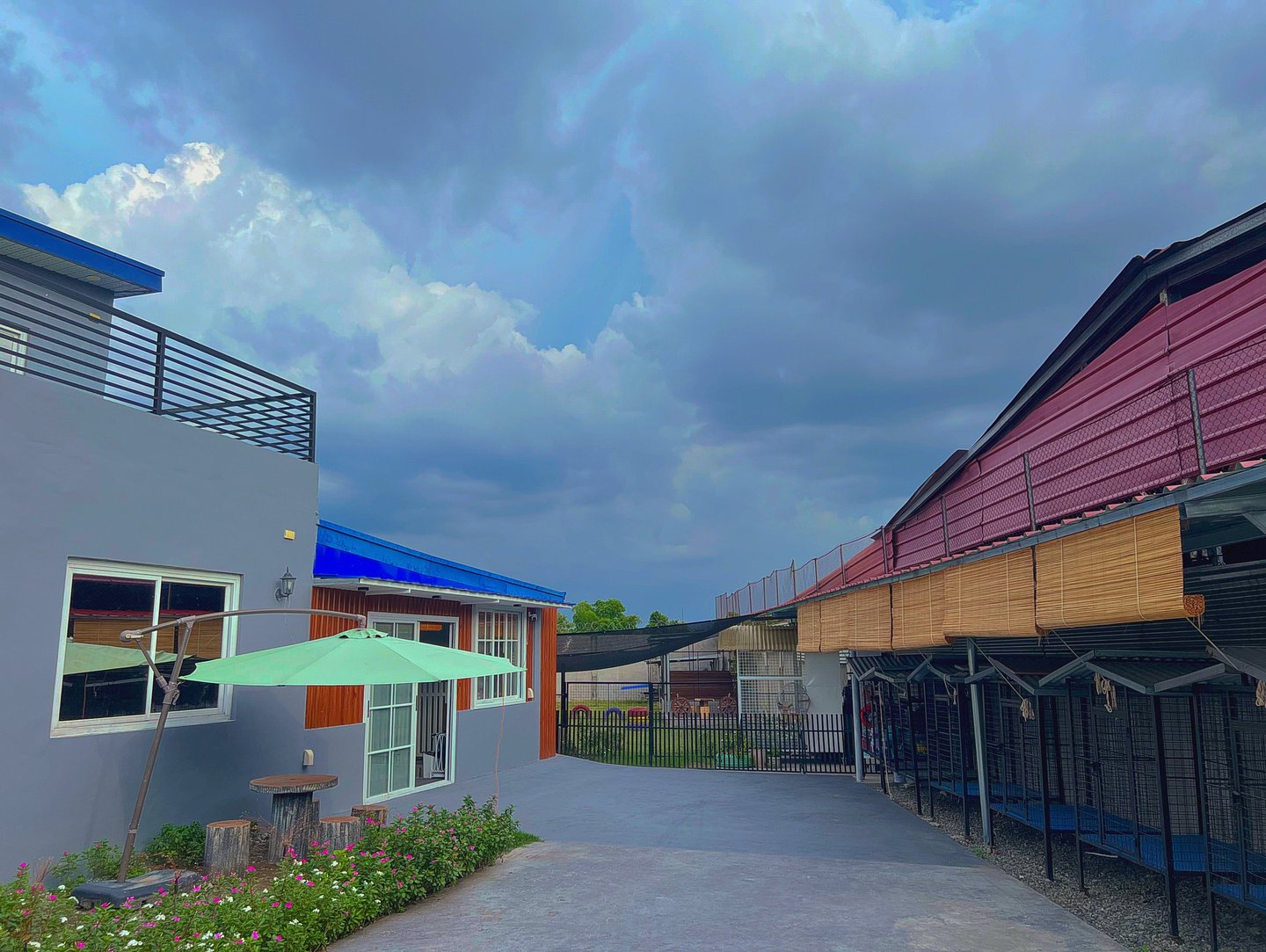 The outdoor space of zukiya pet hotel