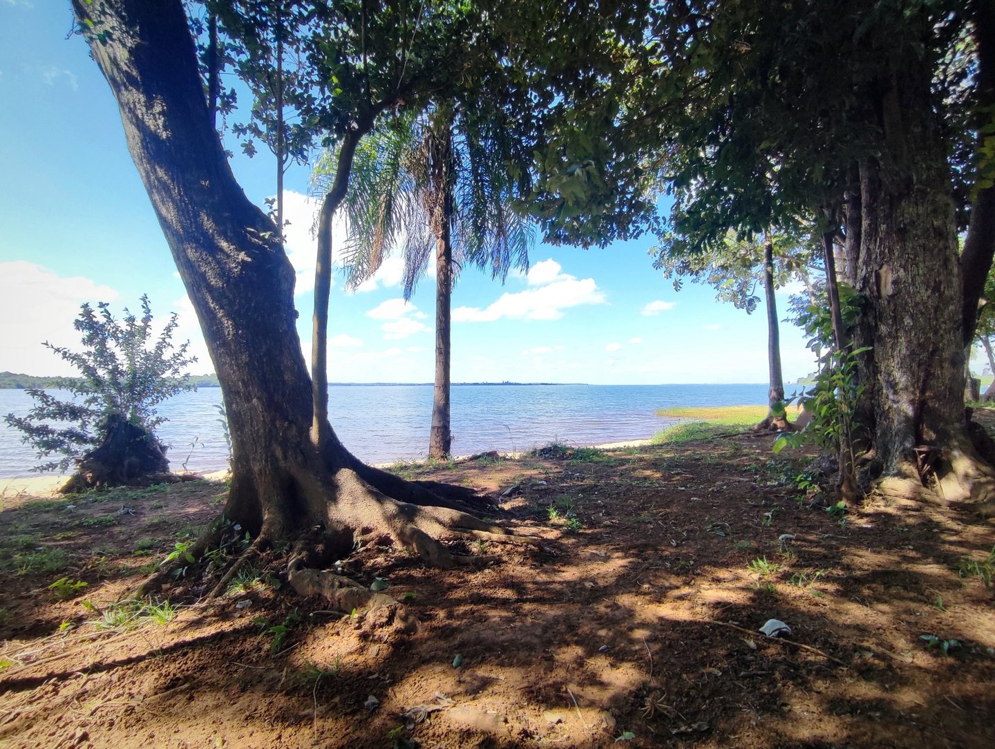 El Parque Paraná befindet sich in privilegierter Lage direkt am Río Paraná