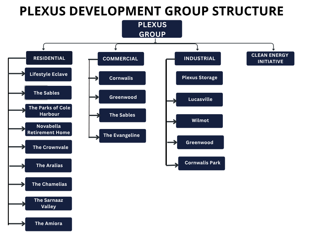 Plexus Development Group Structure and Projects 