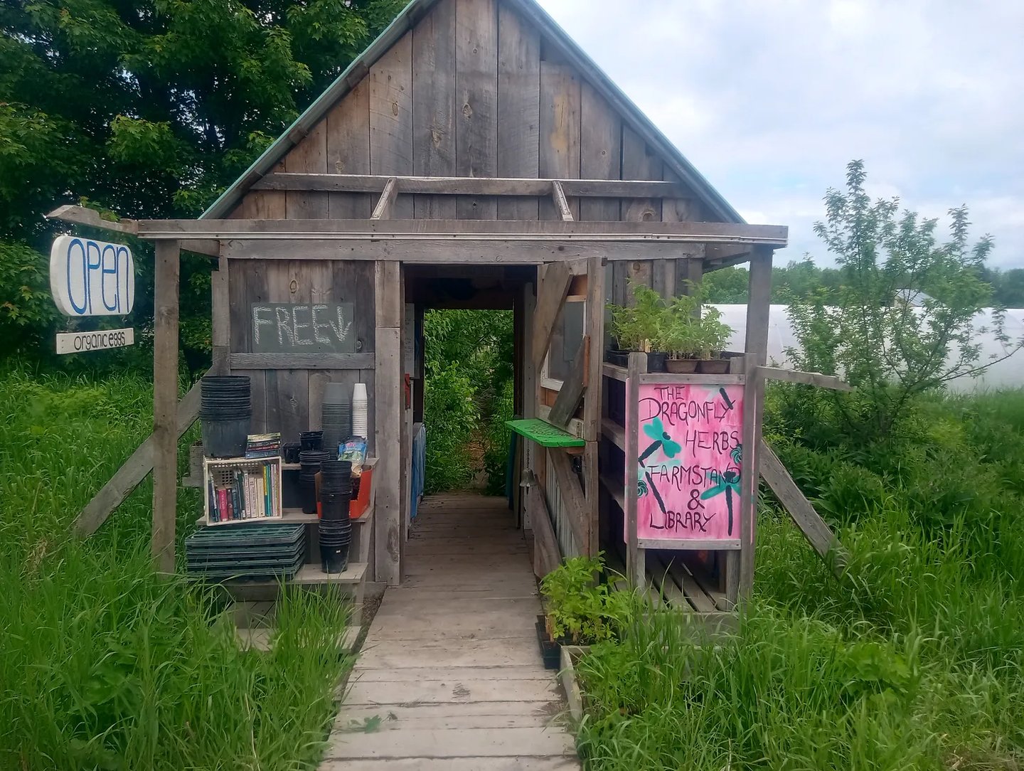A wooden farmstand with an open entrance, featuring signs for organic eggs, free produce, and 'The D
